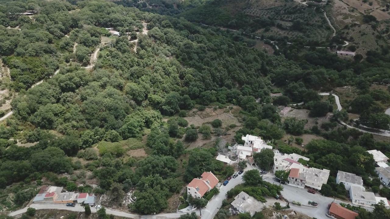 Villa Irini΄S House Alonai Exterior foto